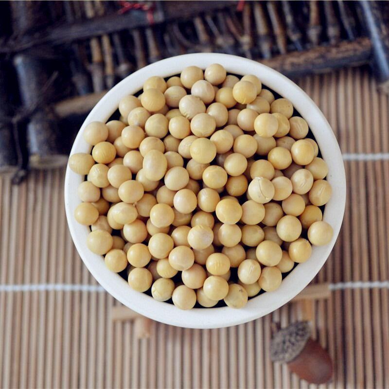 19年新黄豆农家自种500g笨特价大豆 画迈黄豆