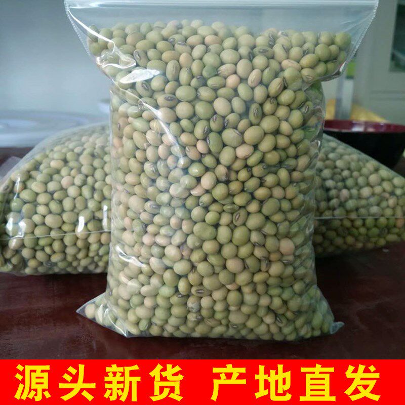 5斤装广西绿皮土黄豆农户生打豆浆 画迈黄豆