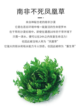 八韵草密罗木保湿官方正品活肤水