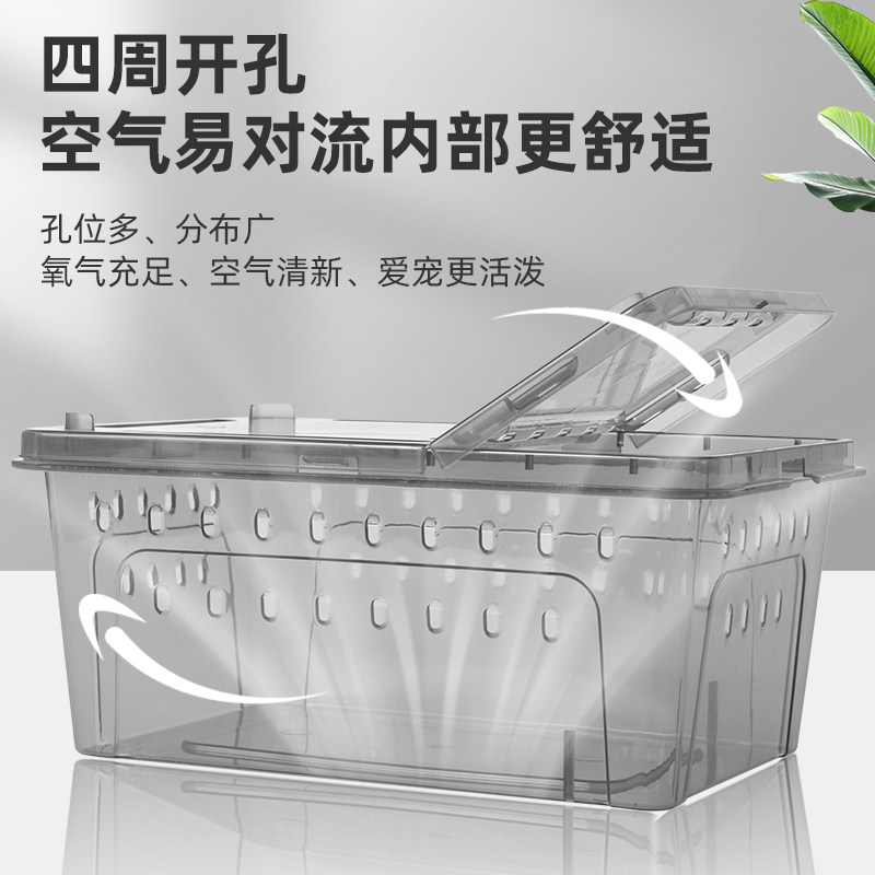 乌龟缸小型爬虫饲养盒蜘蛛角蛙蜗牛守宫爬宠箱养龟盆寄居蟹饲养缸,淘宝优惠券,粉丝福利购,淘宝优惠卷