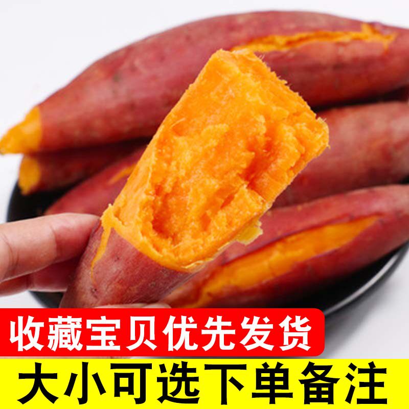 新鲜板栗薯农家自种番薯10斤小山芋 橙哥镖局番薯