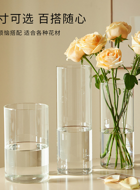 玻璃花瓶透明鲜花百合富贵竹专用