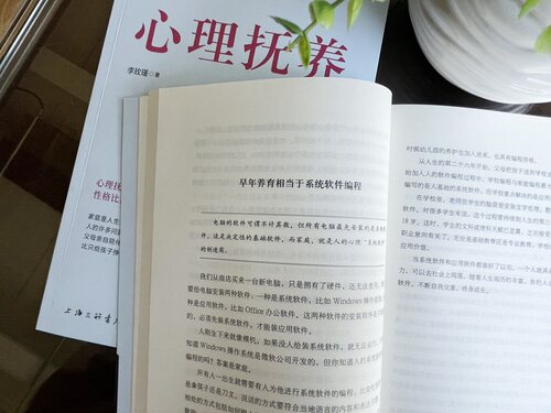 字里行间 心理抚养 正版现货李玫瑾家庭教育孩子管教育儿性格养成关键期发展教育心理的抚养官方父母青少年育儿宝典教育指南书籍 - 图2