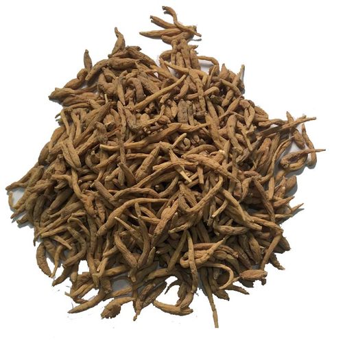 太子参 正品野生太子参 正宗野外深山老林挖采孩儿参四叶参孩童参 - 图3