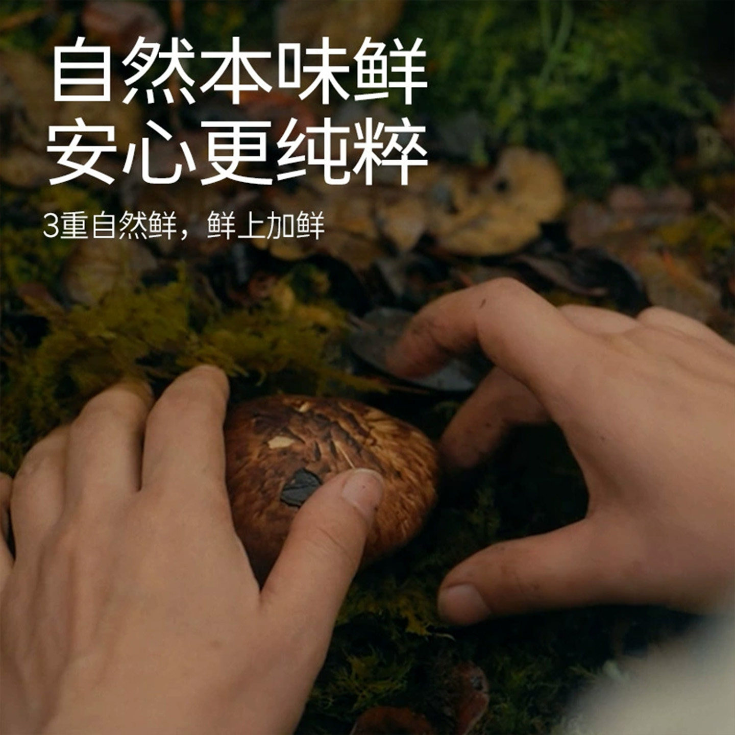 松鲜鲜松茸鲜凉拌汁0脂肪0添加蔗糖减轻食肥黄瓜蘸拌凉菜专用调料,淘宝优惠券,粉丝福利购,淘宝优惠卷