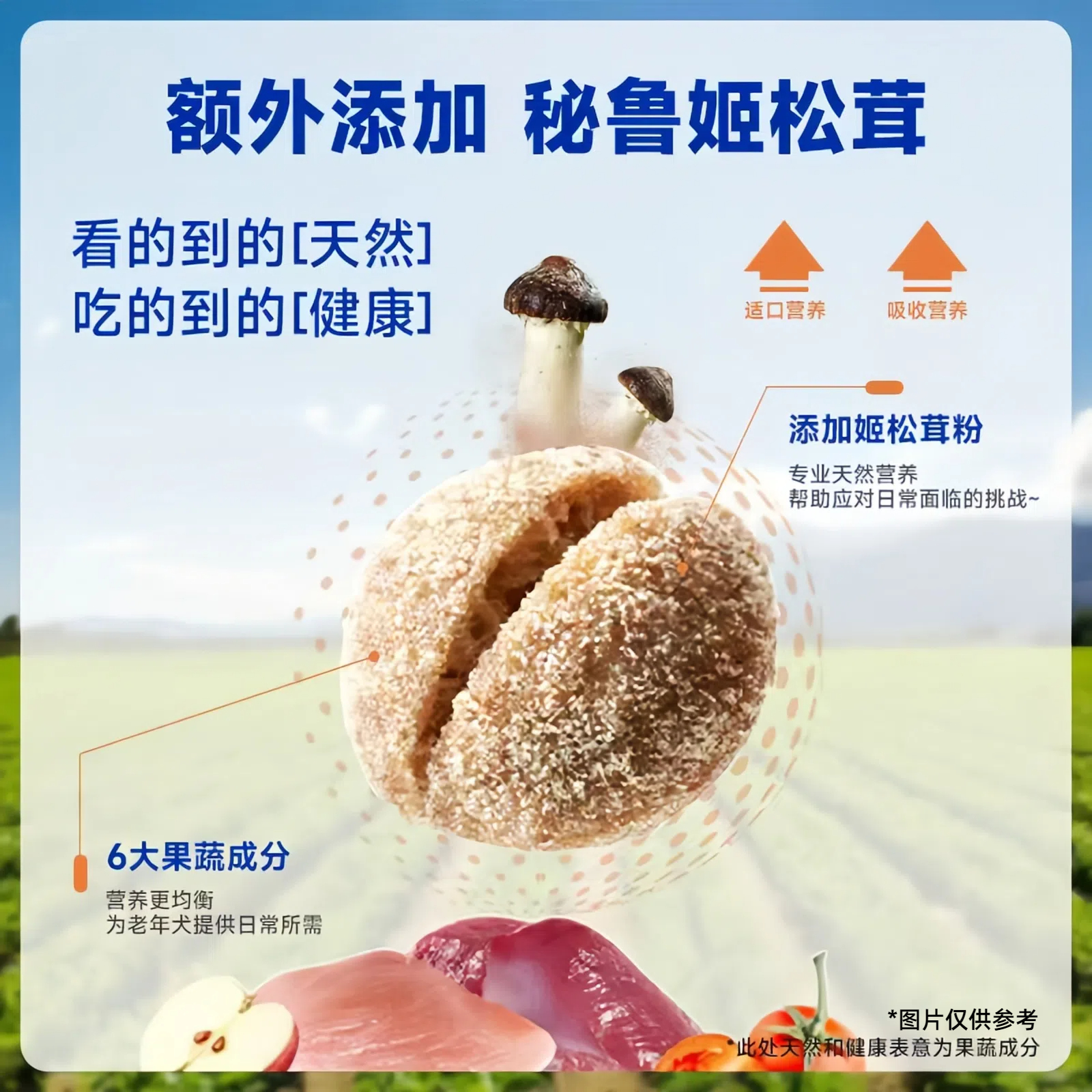 Monchou慕安士狗粮老年犬专用粮大中小型犬泰迪金毛比熊博美鲜肉 - 图1