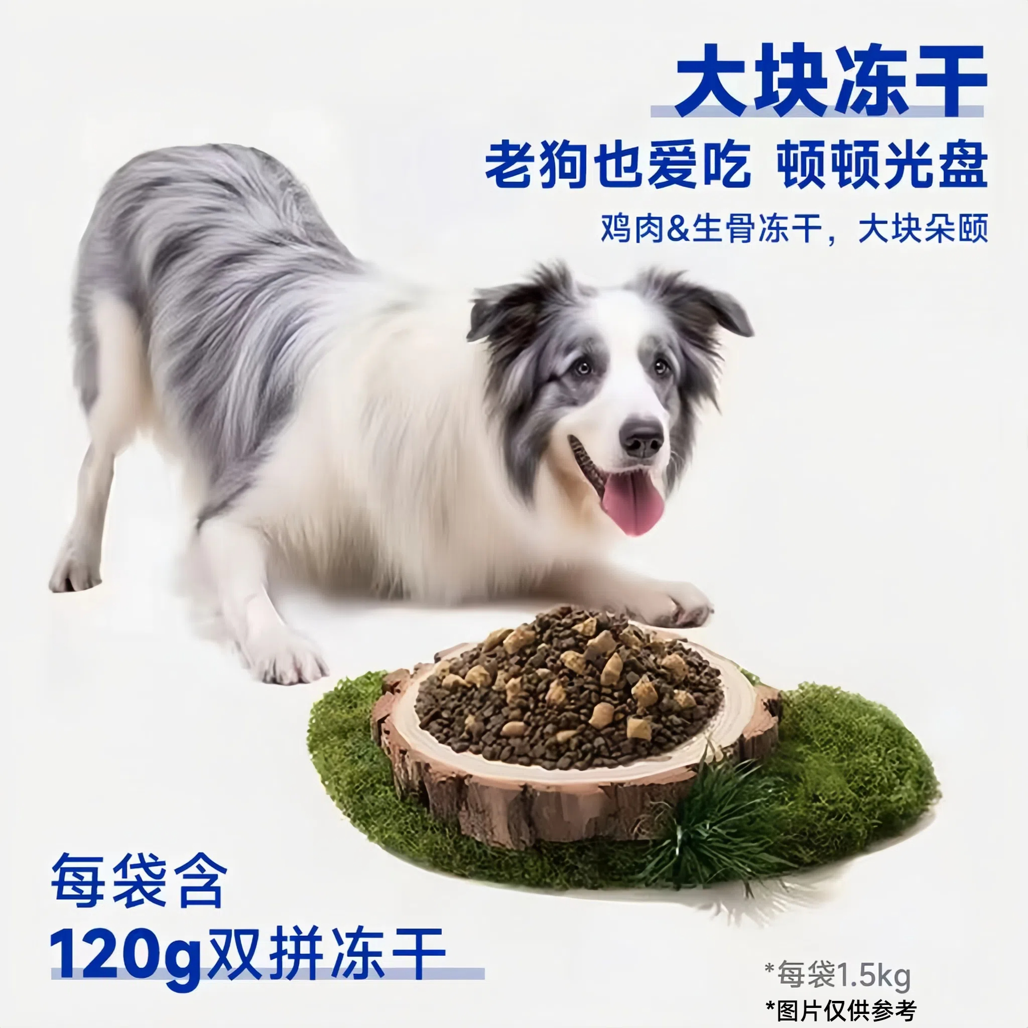 Monchou慕安士狗粮老年犬专用粮大中小型犬泰迪金毛比熊博美鲜肉 - 图0