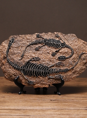 树脂恐龙化石摆件办公室家居摆件