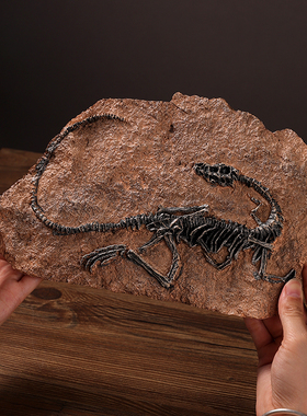 高档仿真恐龙化石标本树脂模型