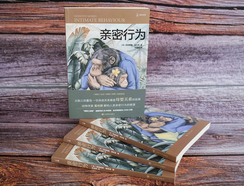 亲密行为 [英]德斯蒙德·莫利斯 译文科学 “裸猿三部曲”之三 何道宽译 得到年度好书 裸猿 人类动物园 上海译文出版社 正版 - 图3