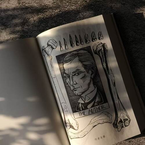 可怜的东西 [英]阿拉斯代尔·格雷 著 于是 译 奥斯卡金像奖影片 