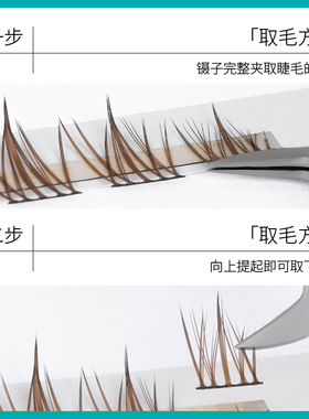 anjicat焦糖色皇冠仙子睫棕色系