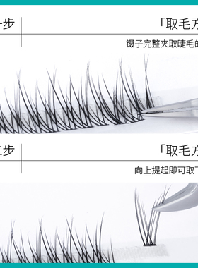 anjicat鱼尾款种植柔软眼睫毛