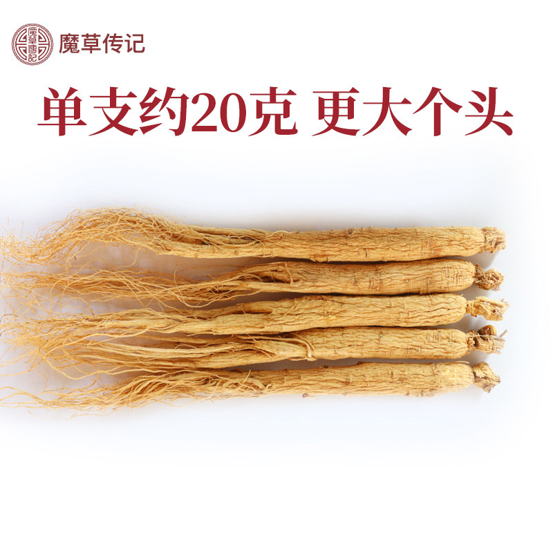 魔草传记长白山东北干参整支生晒参 魔草传记人参/园参及其制品