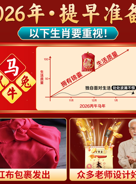 太岁化符锦囊吉祥挂件本命年福袋