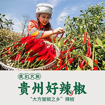 贵州毕节大方特产烧烤辣椒面120g[2元优惠券]-寻折猪