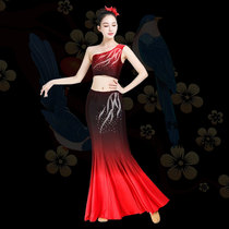 Dai ethnic dance performance Costume Show Costume Performance Suit Womens Dai ethnic peacock dance dress rehearsal power skirt Tail Half Body Dress