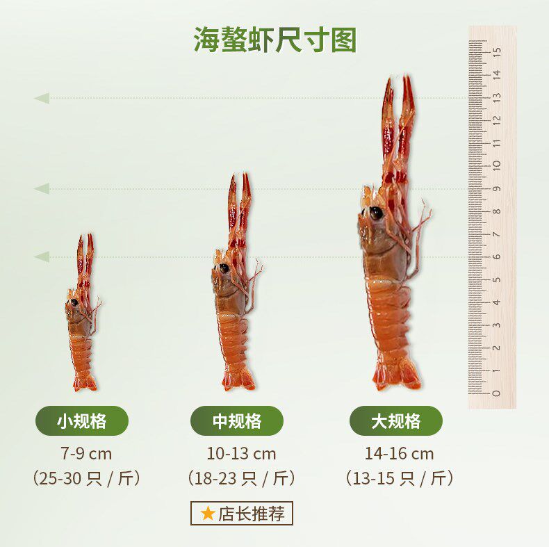 舟山海鳌野生螯虾深海小龙虾刺身 食锦恋冻虾