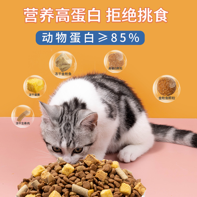 猫粮幼猫专用粮增肥发腮营养1到3月冻干4到12月增强抵抗宠物肠胃 - 图1