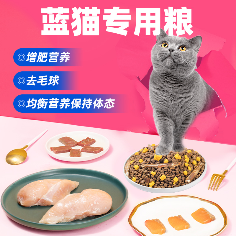 蓝猫专用猫粮英短成猫营养增肥发腮防掉毛全价益生菌幼猫猫主粮-图0