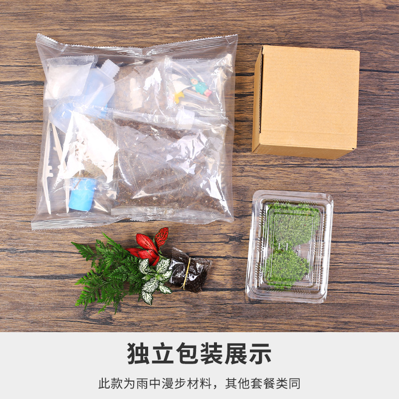 10c直筒苔藓微景观生态瓶趣味植物创意DIY材料包迷你玻璃盆栽礼物 - 图2