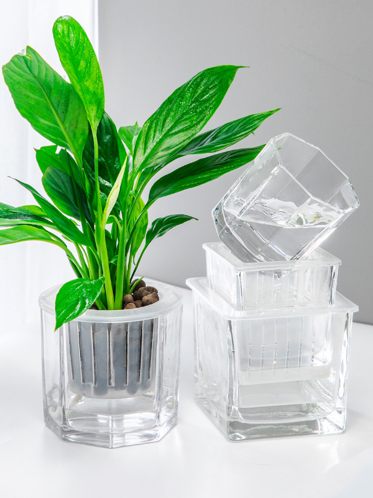 透明水培玻璃器皿大号植物玻璃花盆 热品库 性价比省钱购