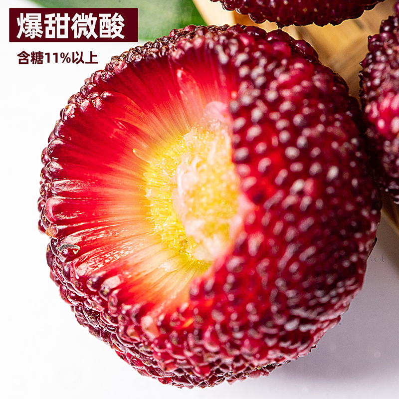 九颂山河旗舰店新鲜杨梅1斤大东魁杨梅酸甜当季应季水果孕妇现摘整箱非云南仙居50