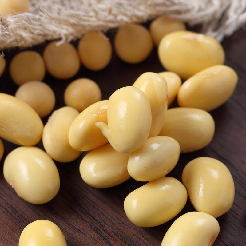 东北能发豆芽的黄豆10斤豆牙小黄豆 食意街黄豆