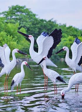 户外玻璃钢仿真白鹭雕塑园林景观白鹤仙鹤别墅庭院水池鸟摆件装饰