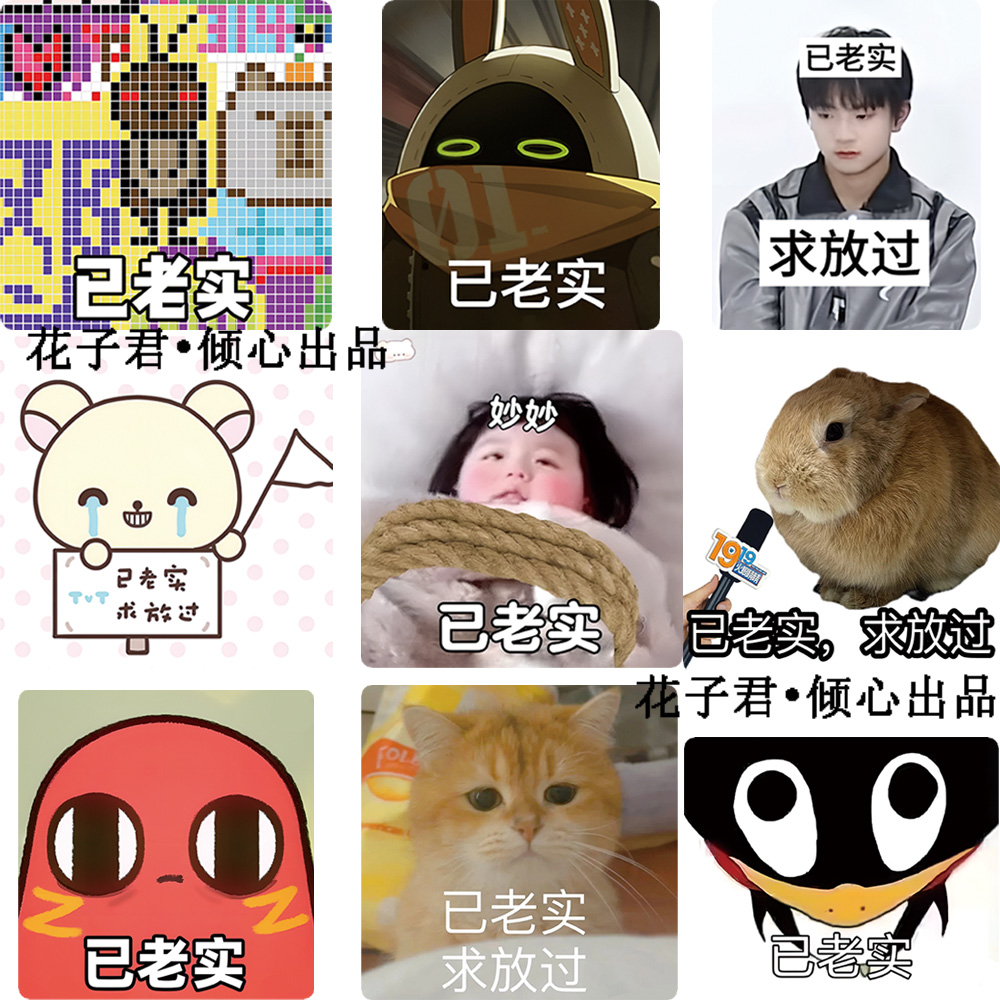 100张已老实求放过表情包贴纸搞笑梗图沙雕趣味爆款diy贴画防水 - 图3