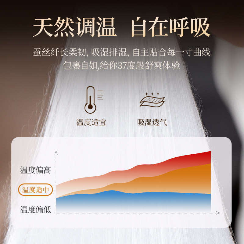 绣娘丝绸100%桑蚕丝被秋冬季子母被二合一官方正品蚕丝被空调被,淘宝优惠券,粉丝福利购,淘宝优惠卷