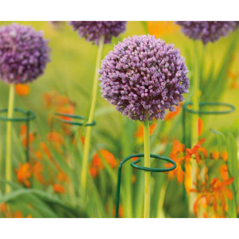 两件包邮花支柱铁艺花架花盆支架爬藤架攀爬架绣球花支撑架花支架 四季花园家居用品 淘优券