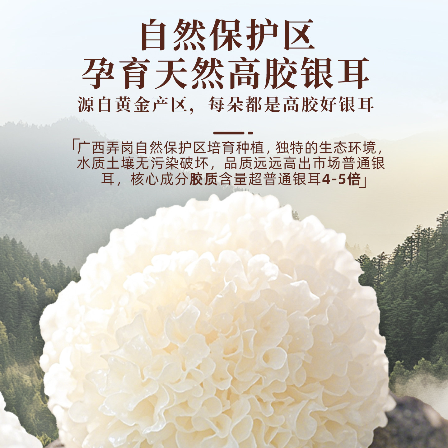 猫千岁银耳鲜露免煮即食鲜炖燕窝羹有机本草红枣冲泡速食雪耳礼盒