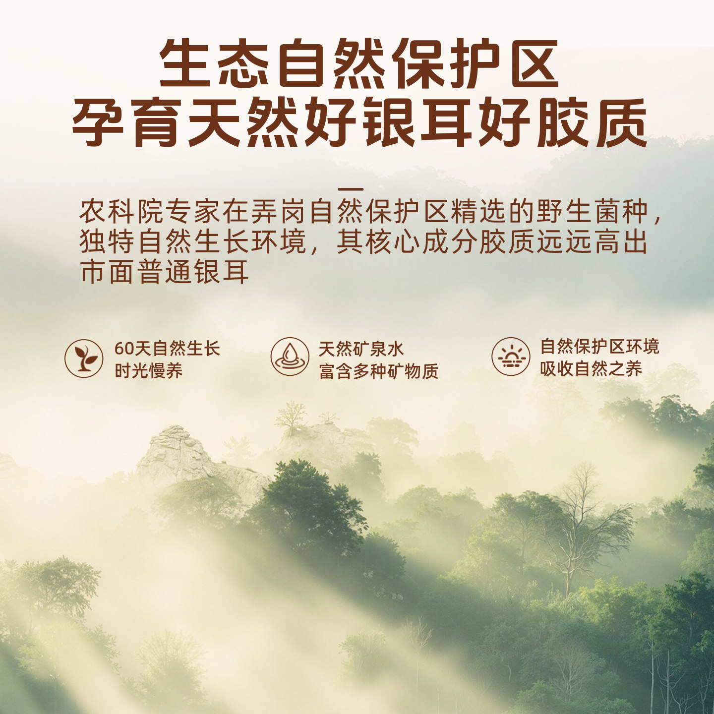 猫千岁银耳鲜露免煮即食鲜炖燕窝羹有机本草红枣冲泡速食雪耳礼盒