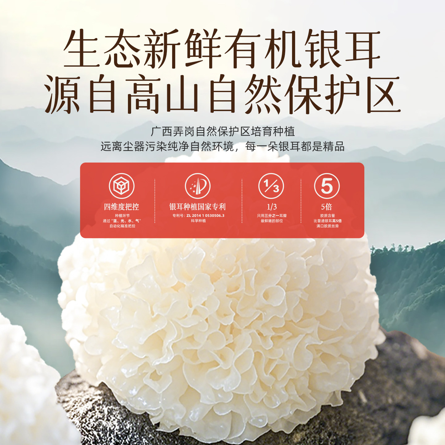 猫千岁红枣枸杞银耳羹鲜炖即食冲泡免煮非古田有机银耳鲜露旗舰店