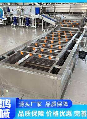 4米MAGA-102梅杨 清洗机 品级草莓去泥清洗设备速冻水食果清洗加