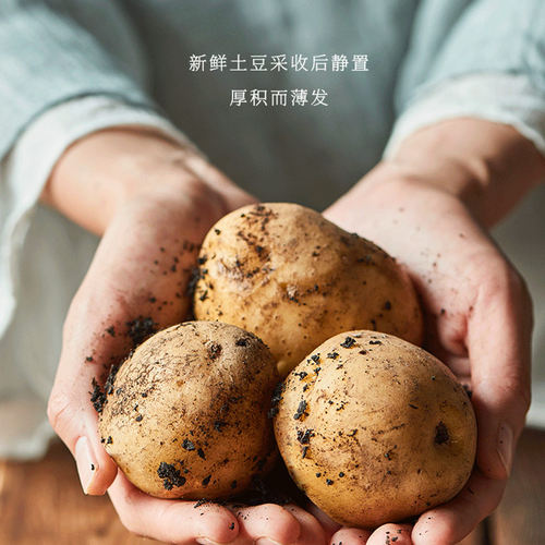开小灶自热米饭土豆煨牛腩4盒装方便速食宿舍免煮自热 - 图2
