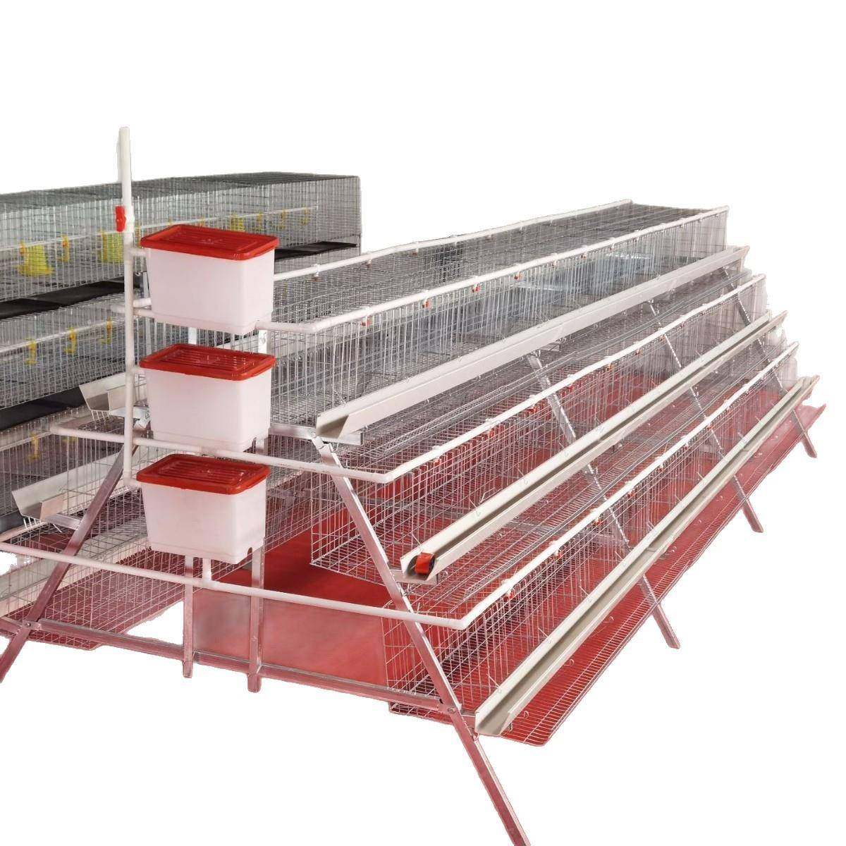 A型阶梯蛋鸡笼源头厂家三层四门阶梯蛋鸡笼热镀锌鸡舍家用养殖场,淘宝优惠券,粉丝福利购,淘宝优惠卷