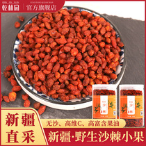 New Cargo Sea Buckthorn Dried Fruits Wild Small Fruit Grain Fruit Dry Raw Pulp Juice 500g Buckthorn Powder Xinjiang Seabuckthorn Fruit