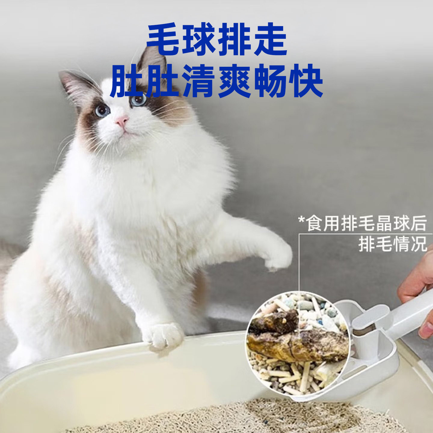原本宠物排毛冻干猫咪化毛膏温和助排毛球不易呕吐呵护肠道促消化,淘宝优惠券,粉丝福利购,淘宝优惠卷