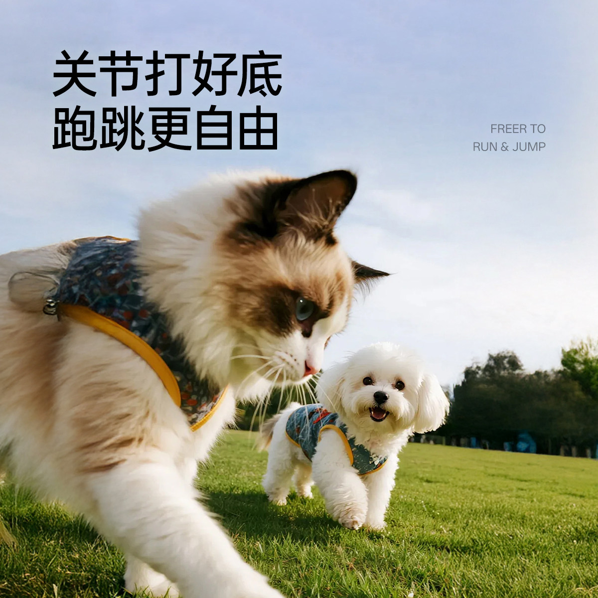 图 5