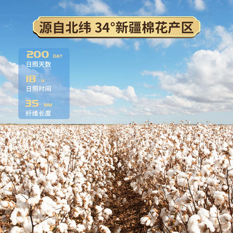 新疆棉花一级优质长绒棉纯棉花散装棉被填充物被芯枕芯填充棉坐垫,淘宝优惠券,粉丝福利购,淘宝优惠卷