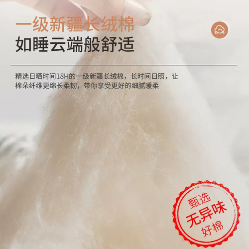 棉淑床垫子学生宿舍单人租房专用软垫家用卧室褥子打地铺地上睡觉 - 图0
