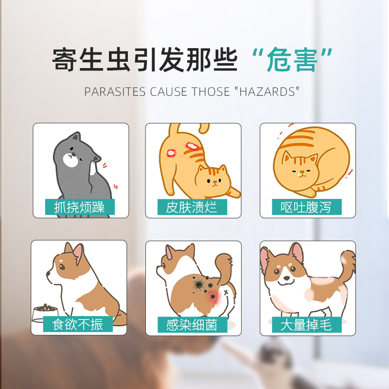 乖乖佩特猫咪体内外一体驱虫驱虫药 乖乖佩特猫/狗药品