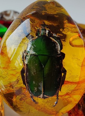 昆虫琥珀吊坠天然蝴蝶标本虫珀