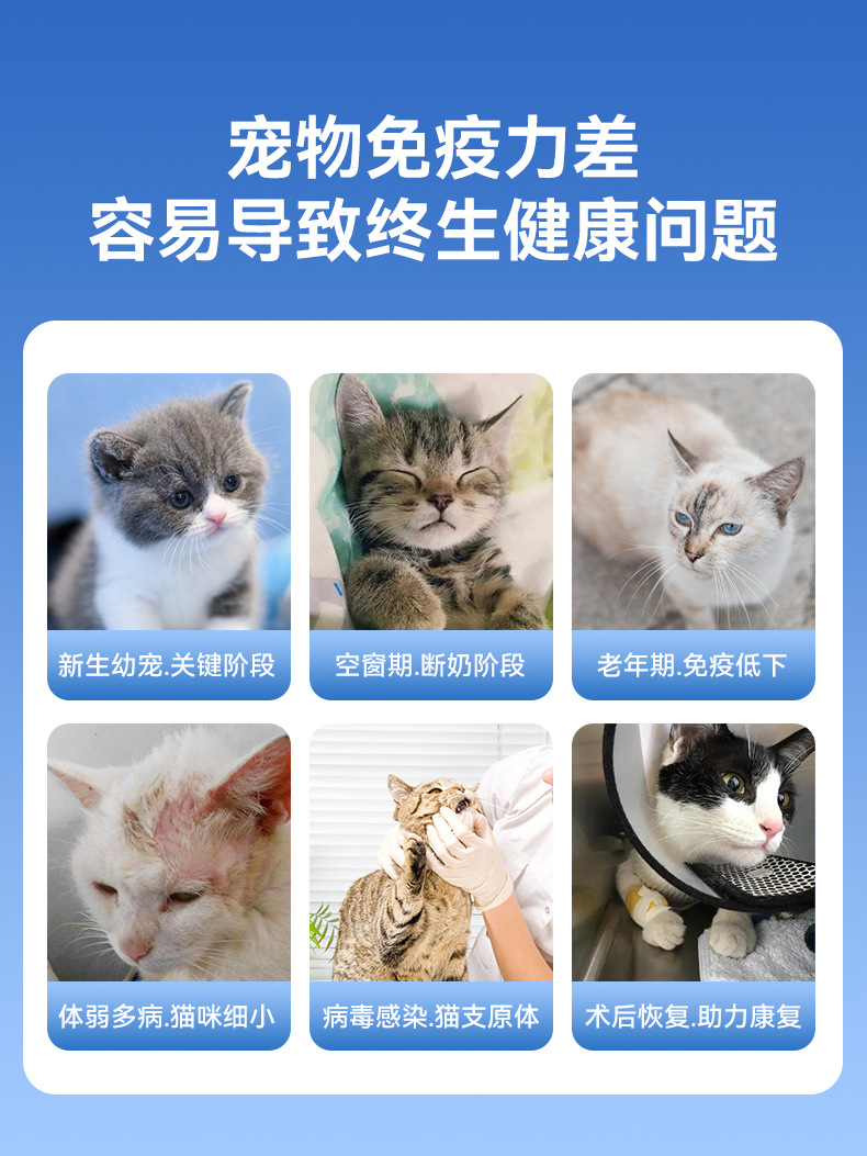 乳铁蛋白猫咪狗狗宠物专用增强免疫力猫营养保健品幼猫营养膏60粒 - 图0