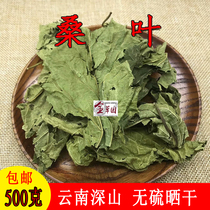 Yunnan frost mulberry leaf winter mulberry leaf green mulberry leaf mulberry leaf dry Chinese herbal medicine mulberry leaf tea new stock 500 gr