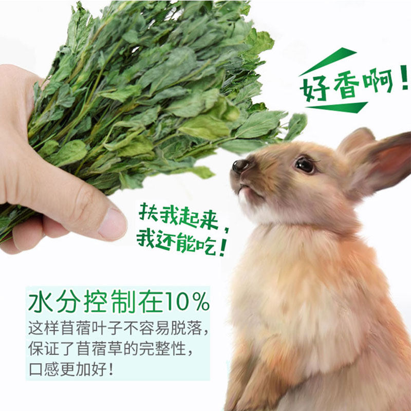 烘干苜蓿草幼兔兔粮兔子草兔饲料细杆叶多龙猫豚鼠仓鼠苜蓿草干草,淘宝优惠券,粉丝福利购,淘宝优惠卷