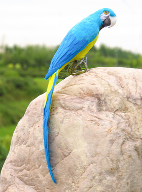 仿真羽毛鹦鹉摆件田园软装工艺品