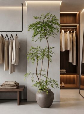 服装店仿真绿植组合造景套装女装店角落大型热带绿植景观假树组合
